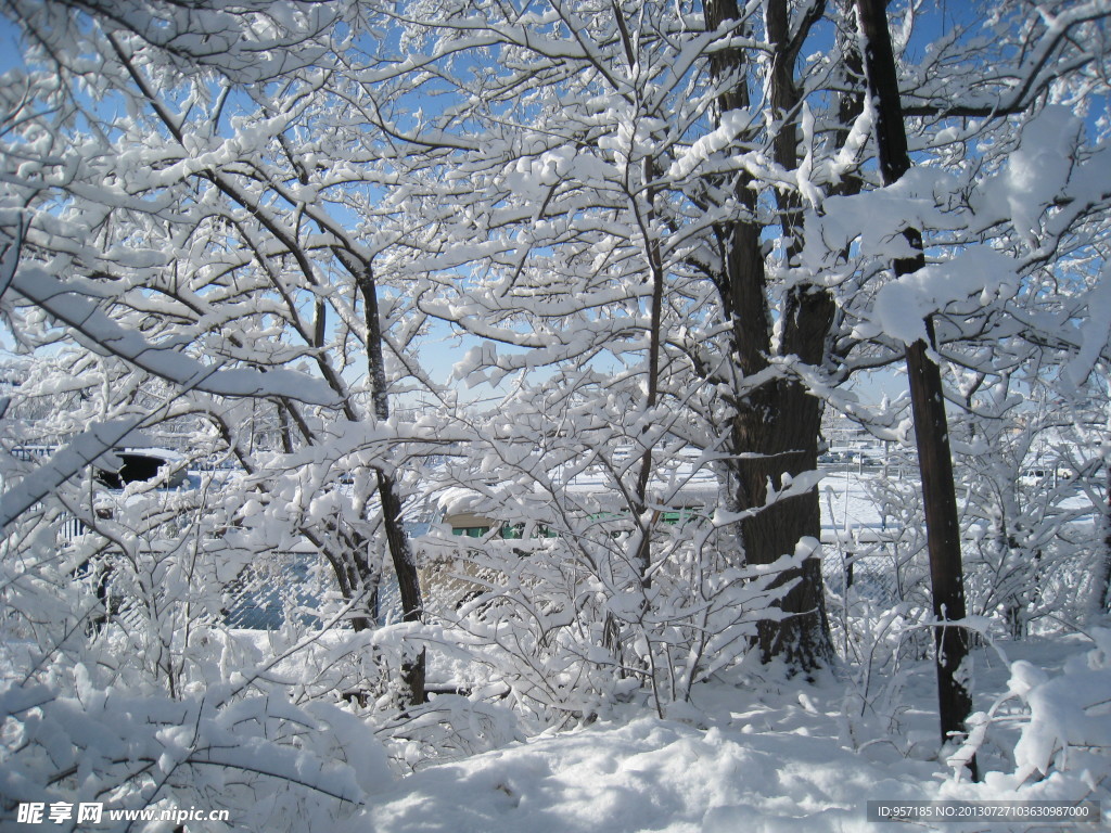 大雪