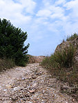 山坡上的道路