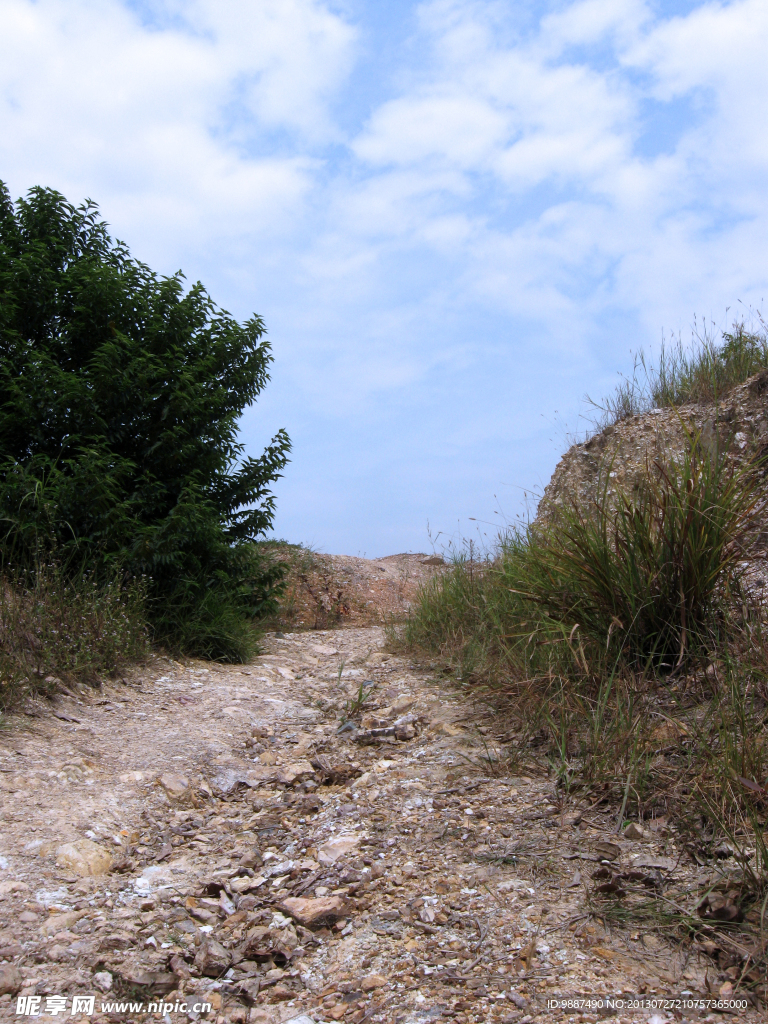 山坡上的道路