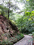 山间小路