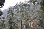 青城山风景