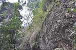 青城山风景
