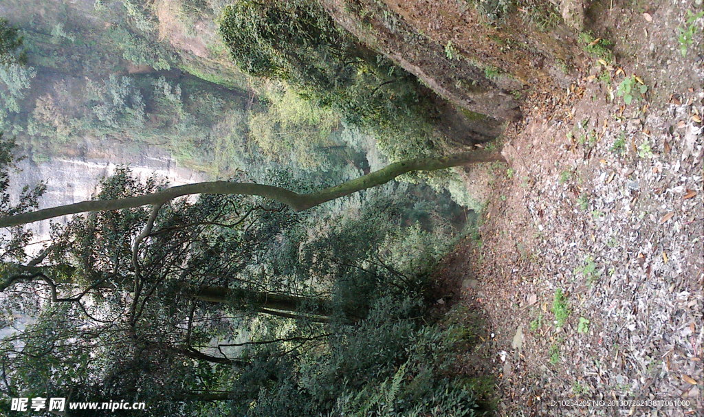 青城山风景