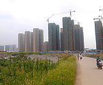 发展中的陶家岭
