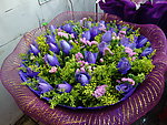 玫瑰花束