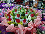 玫瑰花