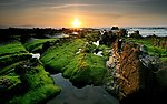 春季海边风景
