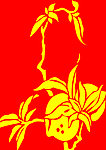 花纹 花边