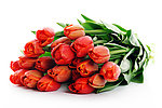 鲜花