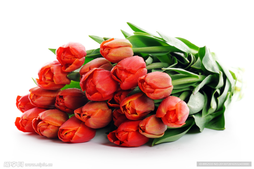 鲜花