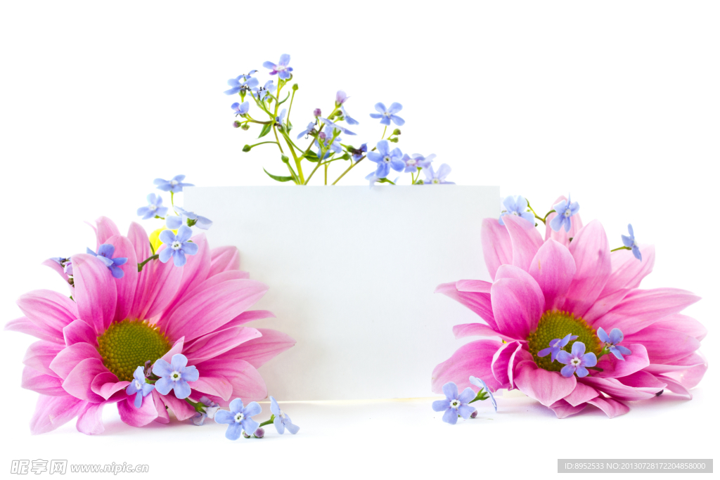 鲜花