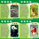 珍惜动物