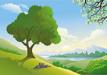 郊外风景