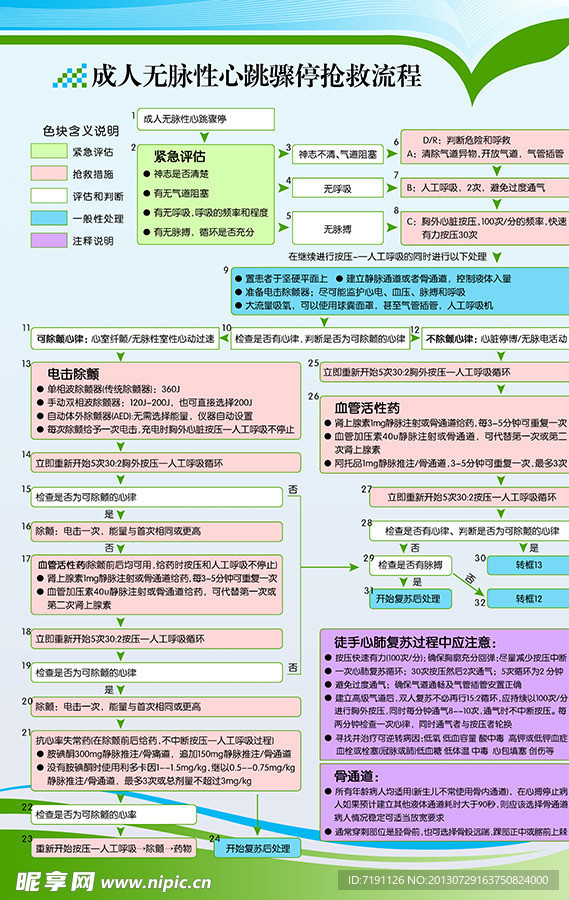 成人无脉性心跳骤停