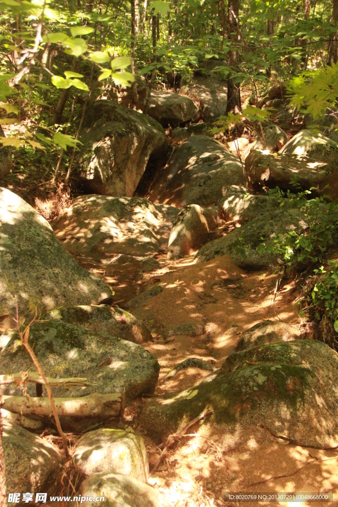 深山碧影