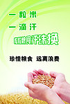 节约粮食海报