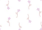 服装花纹
