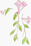 纺织面料花纹