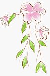 纺织面料花纹