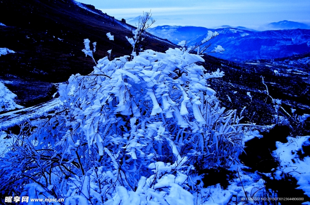 冬雪