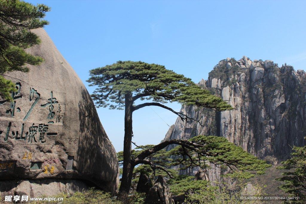 黄山迎客松