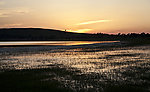 夕阳晚景