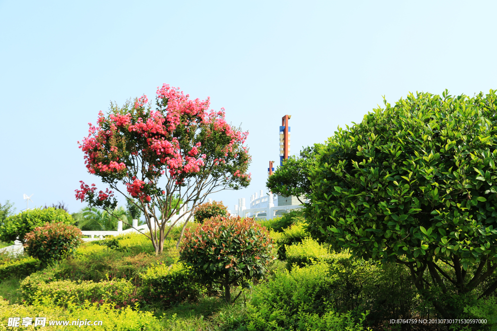 山花