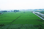 田园美景