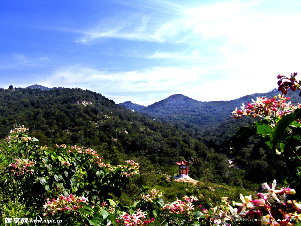 莲青山