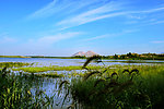 莲青山风光