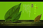画册简介
