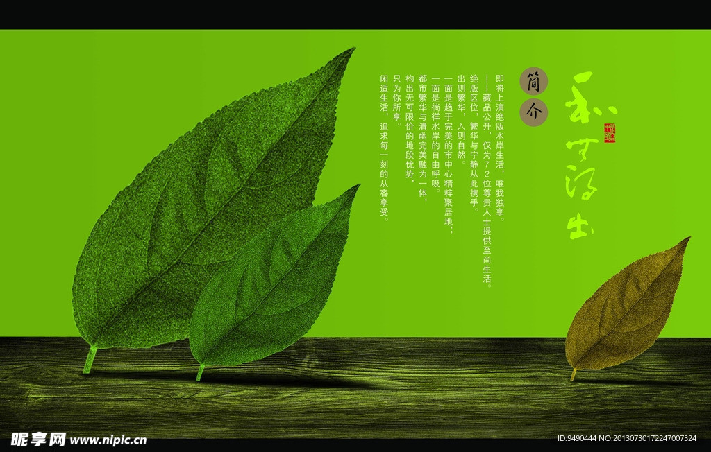 画册简介
