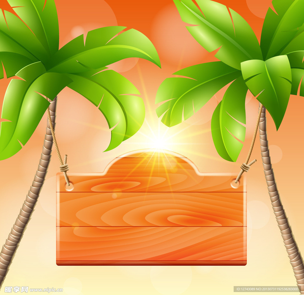 夏天 椰子