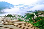 龙脊晨曦