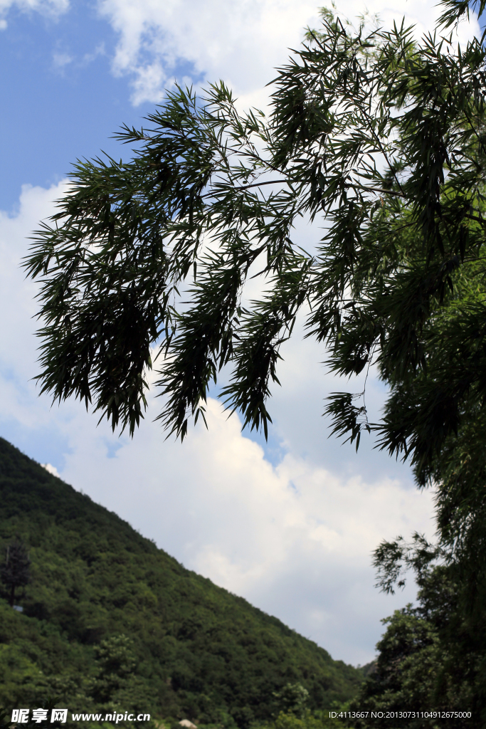 慈溪五磊山风景