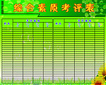 综合素质考评表