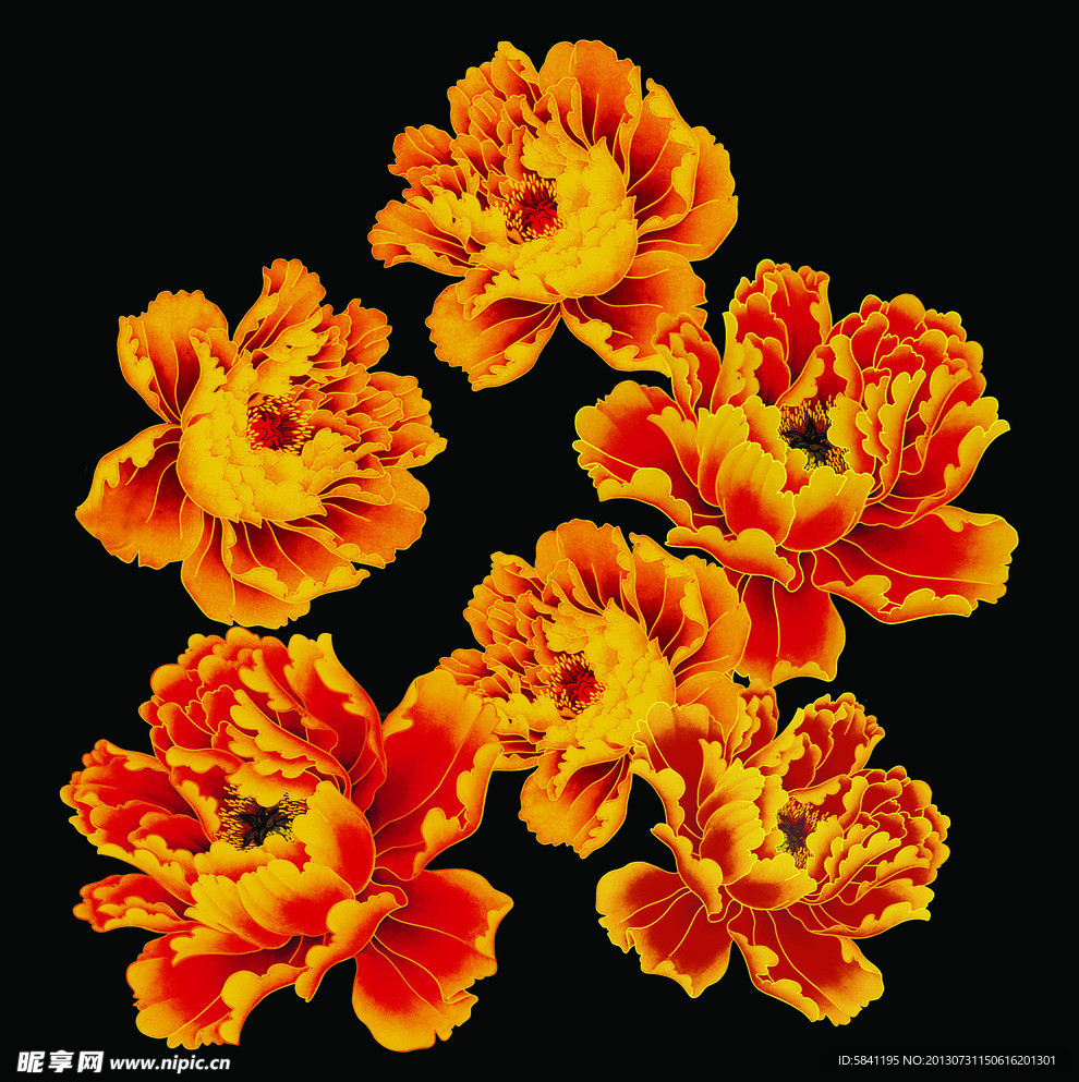 牡丹花