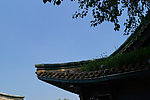 秦皇岛 南戴河景