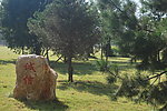 学校风景