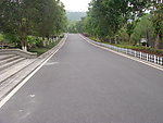 柏油路