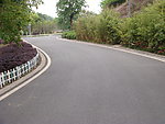 柏油路