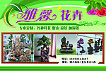 雅馨花卉