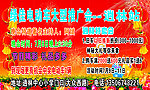 绿佳电动车