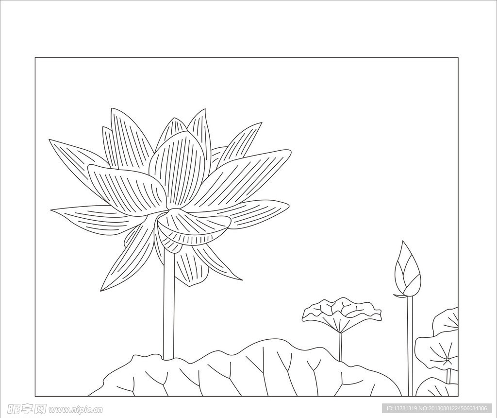 荷花