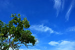 天空