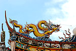 龙珠