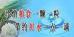 惜粮 节水