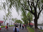 西湖