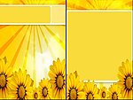自然花卉素材PPT