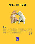 快乐 源于交往